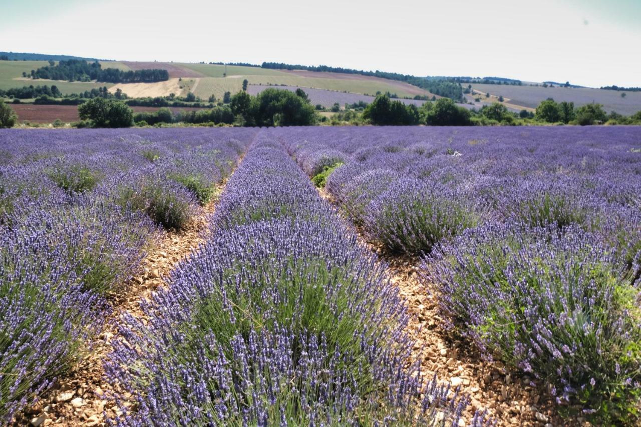 לינה וארוחת בוקר בדואן La Bastide Au Ventoux מראה חיצוני תמונה